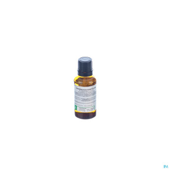Romarin    huile ess 30ml certa