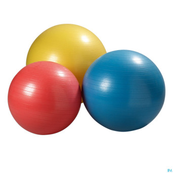 Jobri exerswiss therapy ballon    45cm 32300501