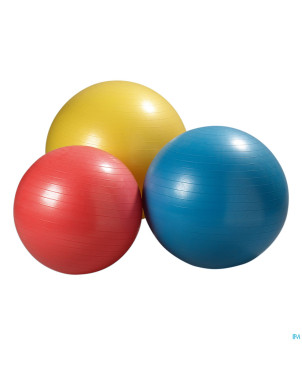 Jobri exerswiss therapy ballon    45cm 32300501
