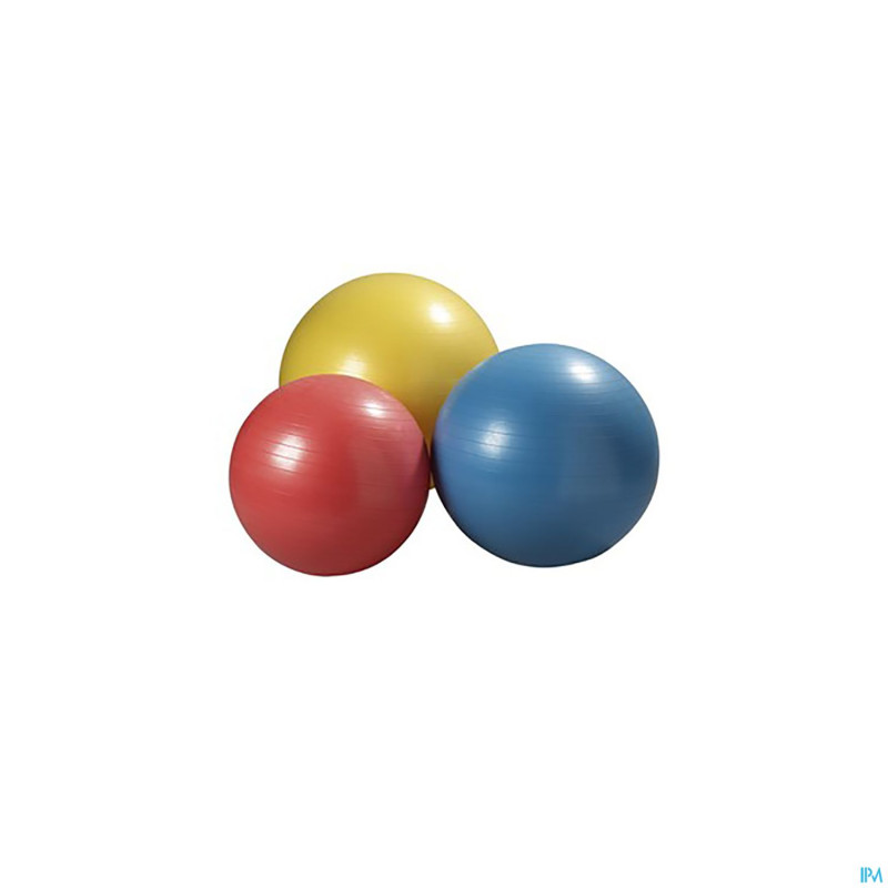 Jobri exerswiss therapy ballon    75cm 32300504