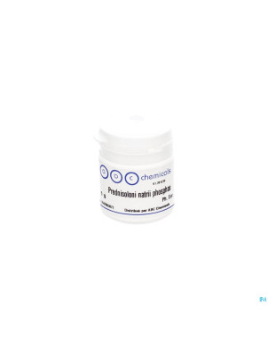 Prednisolone phosphate sodique    1g abc