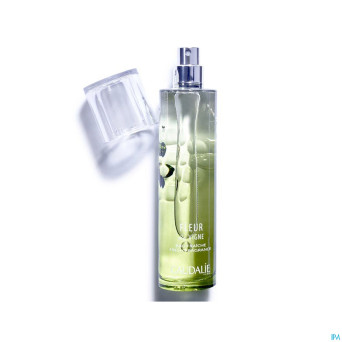 Caudalie fleur de vigne eau fraiche tube    50ml
