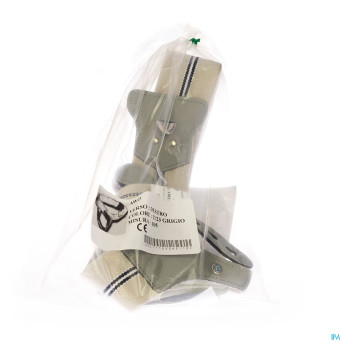 Bande herniere normal droite t105    tfx medical