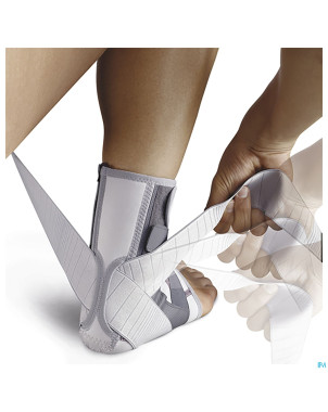 Push med chevillere gauche    26-29cm t1