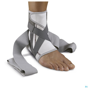 Push med chevillere gauche    35-38cm t4