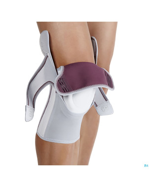 Push med genouillere gauche/droite    37-41cm t4