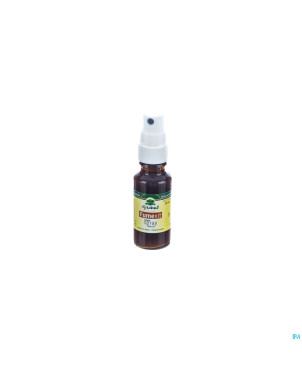 Fytobell fumexit spray buccal    20ml