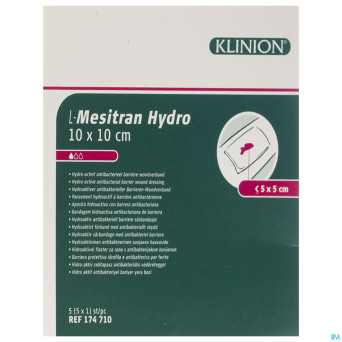 L-mesitran compresse hydro  10x10cm 5