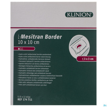 L-mesitran compresse border 10x10cm 5