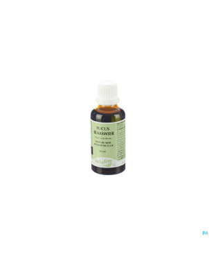 Herbalgem fucus vesicul.    tm 50ml