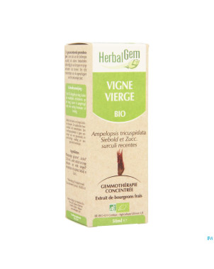 Herbalgem vigne vierge    macerat 50ml