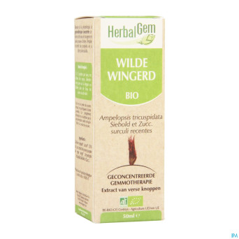 Herbalgem vigne vierge    macerat 50ml