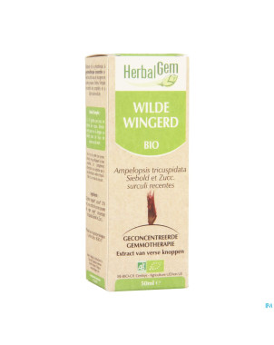 Herbalgem vigne vierge    macerat 50ml