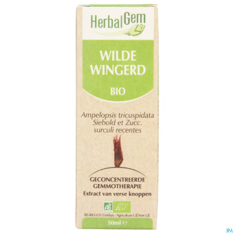 Herbalgem vigne vierge    macerat 50ml