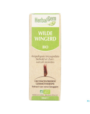 Herbalgem vigne vierge    macerat 50ml