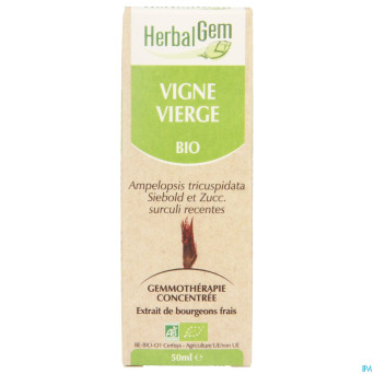 Herbalgem vigne vierge    macerat 50ml