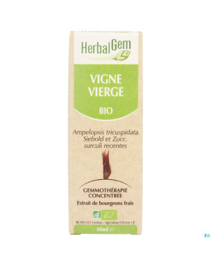 Herbalgem vigne vierge    macerat 50ml