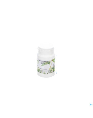 Tilman rhubarbe extr.sec    25g