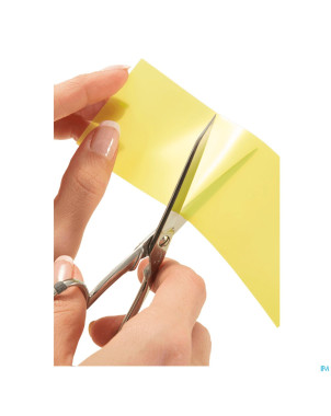 Cerederm pansement  5x 8cm 10 4309668