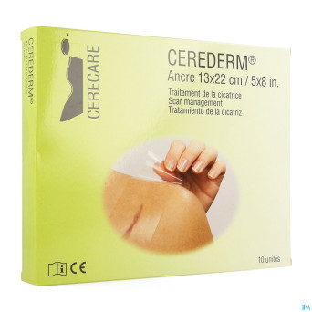 Cerederm pans silic ancre    13x22cm 10 4309697