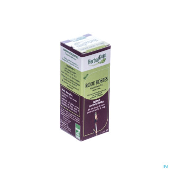 Herbalgem airelle    macerat 15ml