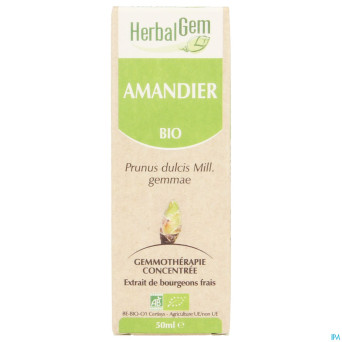 Herbalgem amande douce    macerat 50ml