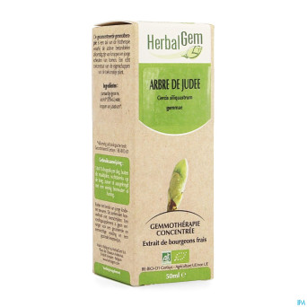 Herbalgem arbre de judee    macerat 50ml