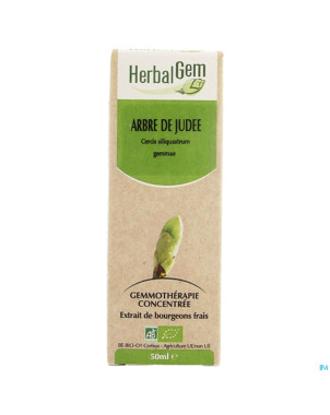 Herbalgem arbre de judee    macerat 50ml