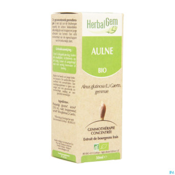 Herbalgem aulne    macerat 50ml