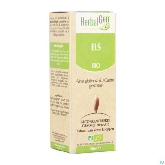Herbalgem aulne    macerat 50ml