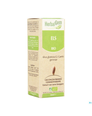 Herbalgem aulne    macerat 50ml