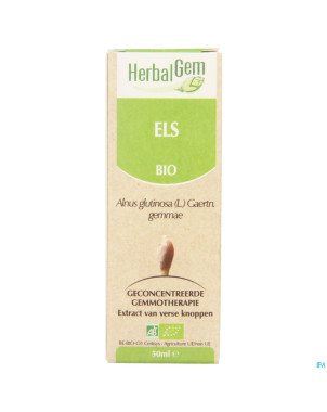 Herbalgem aulne    macerat 50ml