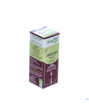 Herbalgem cassis    macerat 15ml