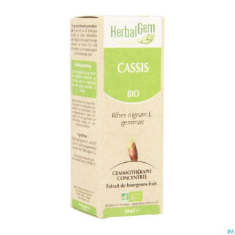 Herbalgem cassis    macerat 50ml