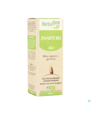 Herbalgem cassis    macerat 50ml