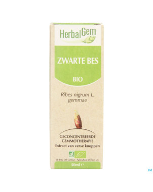 Herbalgem cassis    macerat 50ml