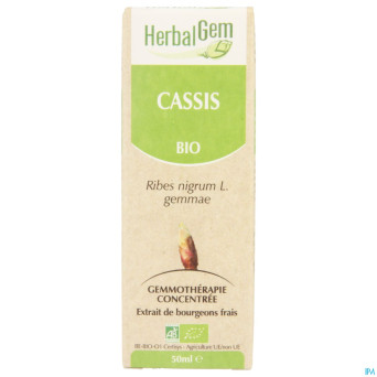 Herbalgem cassis    macerat 50ml