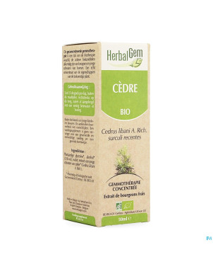 Herbalgem cedre    macerat 50ml