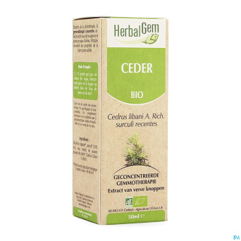 Herbalgem cedre    macerat 50ml