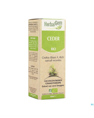 Herbalgem cedre    macerat 50ml
