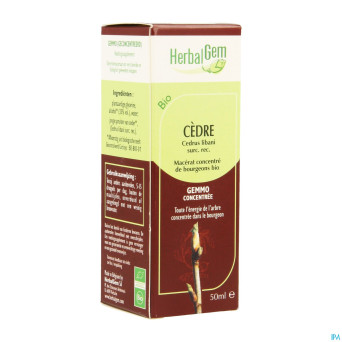 Herbalgem cedre    macerat 50ml
