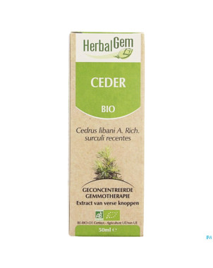 Herbalgem cedre    macerat 50ml