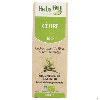 Herbalgem cedre    macerat 50ml