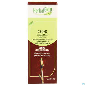 Herbalgem cedre    macerat 50ml