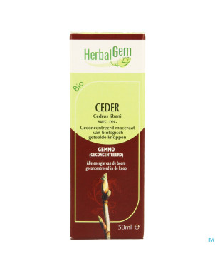 Herbalgem cedre    macerat 50ml