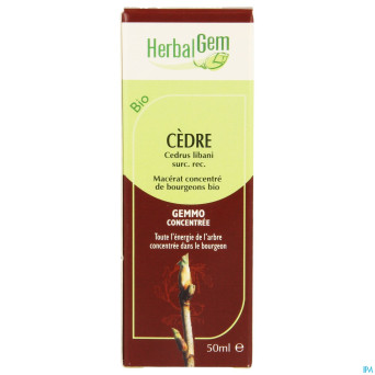 Herbalgem cedre    macerat 50ml