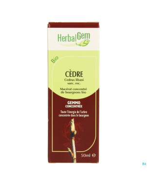 Herbalgem cedre    macerat 50ml