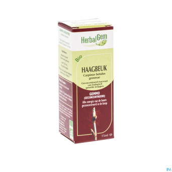 Herbalgem charme    macerat 15ml