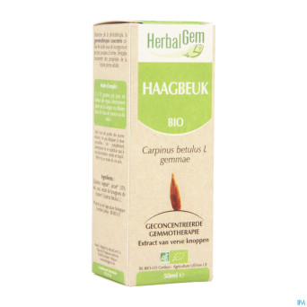 Herbalgem charme    macerat 50ml