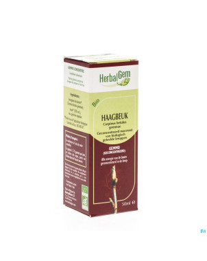 Herbalgem charme    macerat 50ml